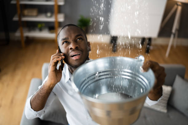  Sebewaing, MI Water damage restoration Pros