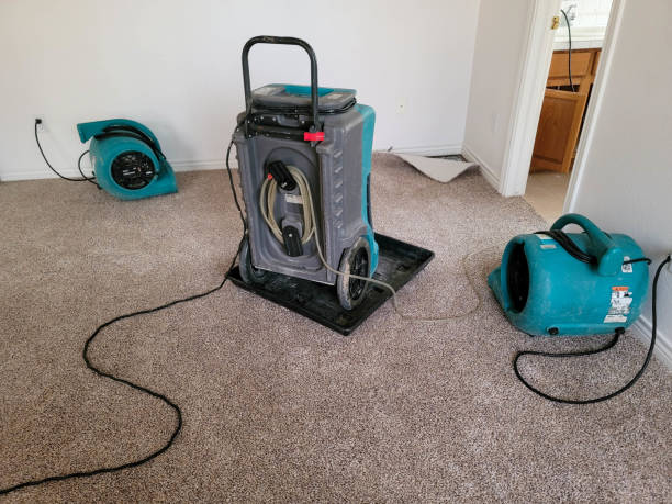 Best Local water damage restoration  in Sebewaing, MI