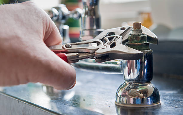 Best Professional water damage repair  in Sebewaing, MI